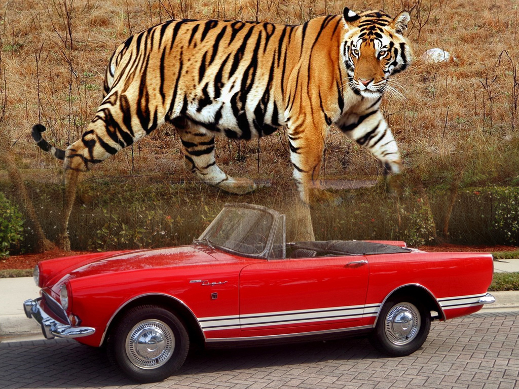 List of Cars with Animal Names Zero To 60 Times