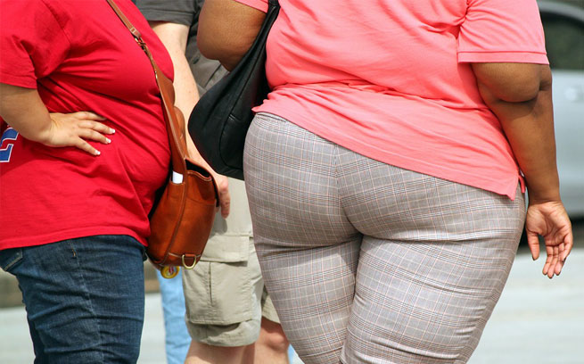 Fat Person Cars