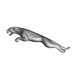 Jaguar Quiz