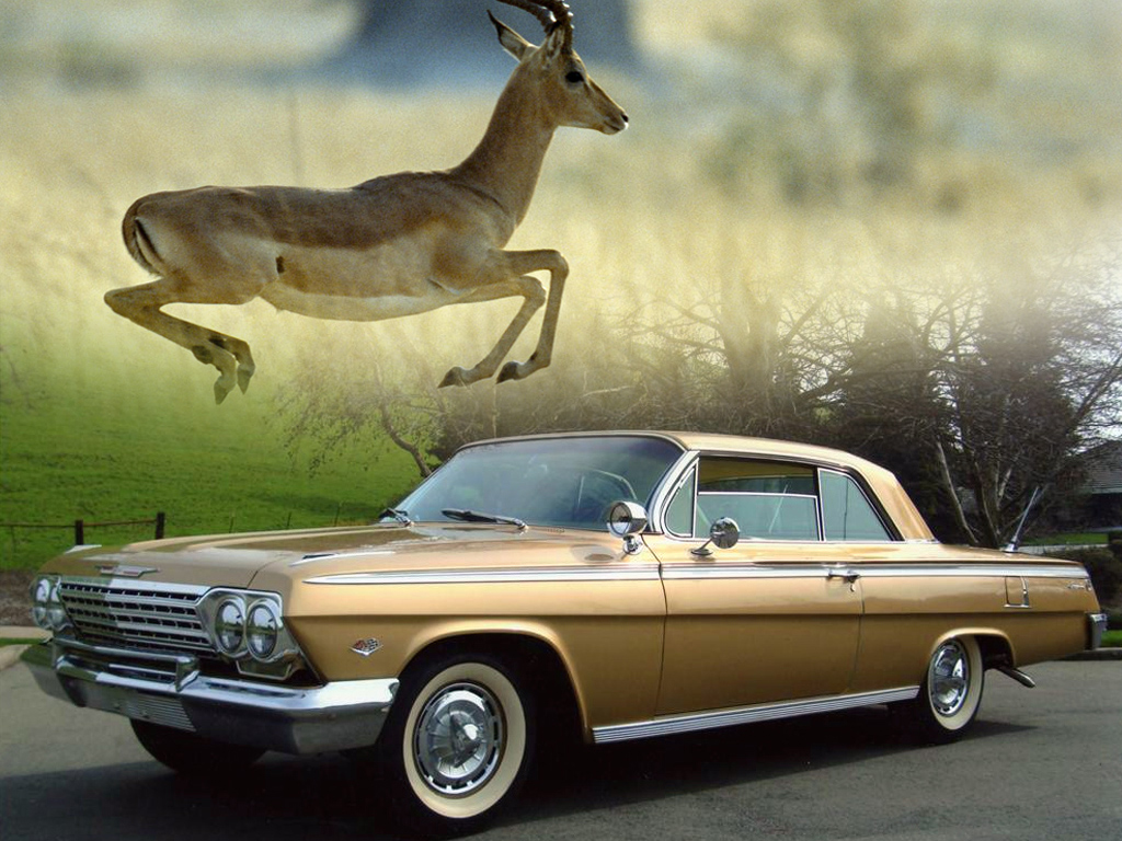 List of Cars with Animal Names Zero To 60 Times