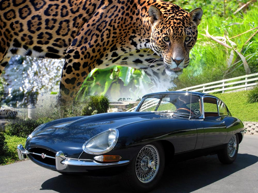 List Of Cars With Animal Names Zero To 60 Times truly The Brilliant classic cars with names for Your favorite car choice