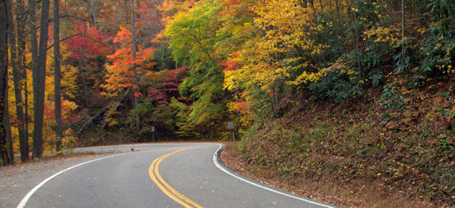 tail of the dragon road