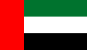 United Arab Emirates flag