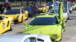 Loads of Lamborghinis!