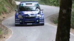 Skoda Fabia S2000 Rally Car in Action