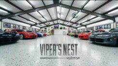 HUGE Private Viper Collection