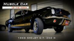 Classic Muscle Car: 1966 Shelby GT 350H