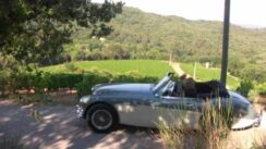 Cruising French Countryside in an Austin Healey 3000 MKIII