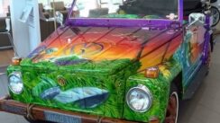 Crazy 1974 Volkswagen Thing